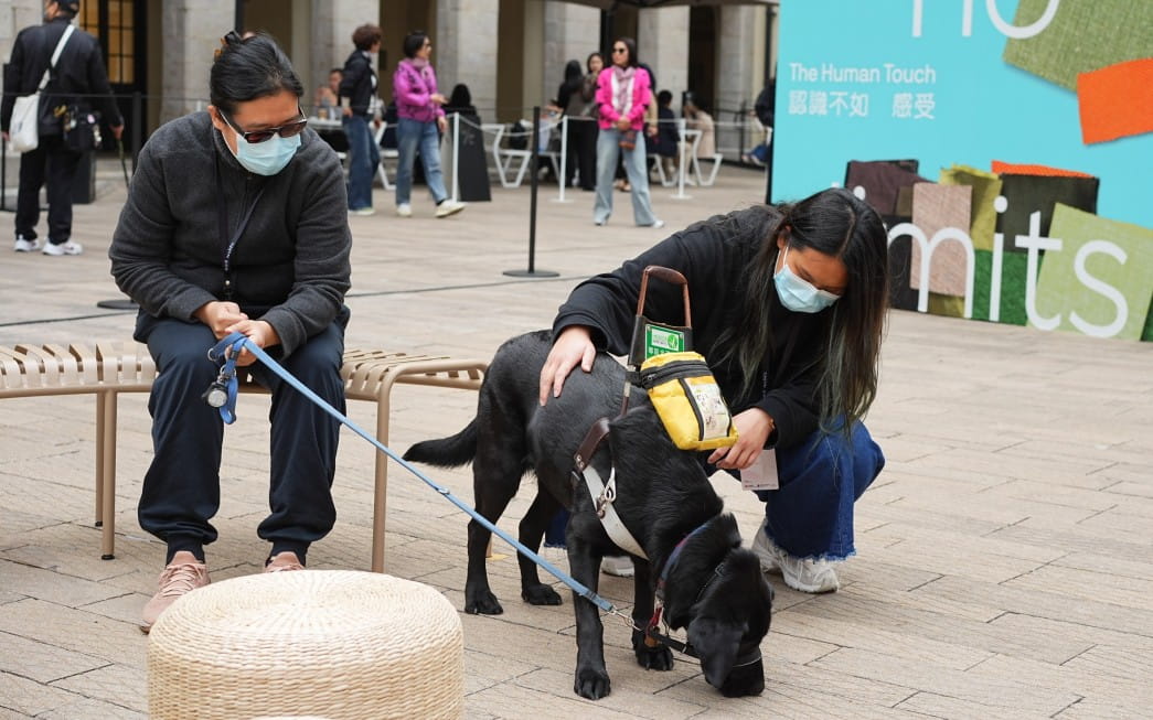 Unlocking the Secrets of Guide Dogs Image